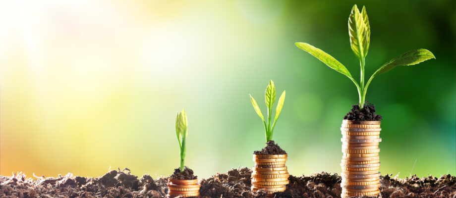 Everything you need to know about applying for ECO Funding